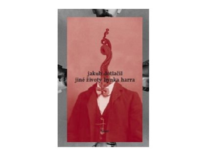 Jiné životy Hynka Harra