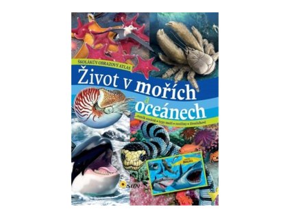 Život v mořích a oceánech