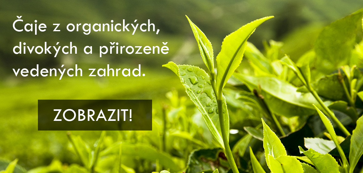 Organické čaje