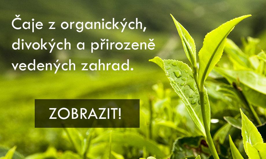 Čaje z organických, divokých a přirozeně vedených zahrad