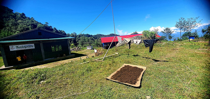 Kalapani Tea Estate