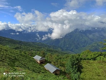 Nepal Kalapani Himalayan Forest Autumnal Flush
