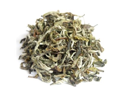 Nepal Shangrila White Autumnal Flush