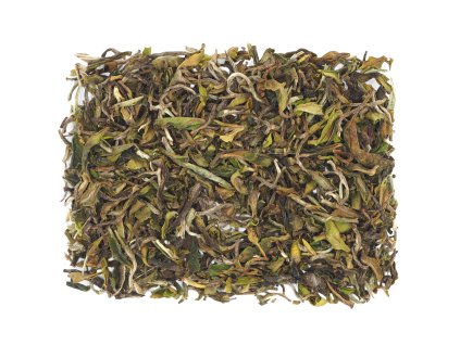 Darjeeling Gopaldhara Wonder First Flush