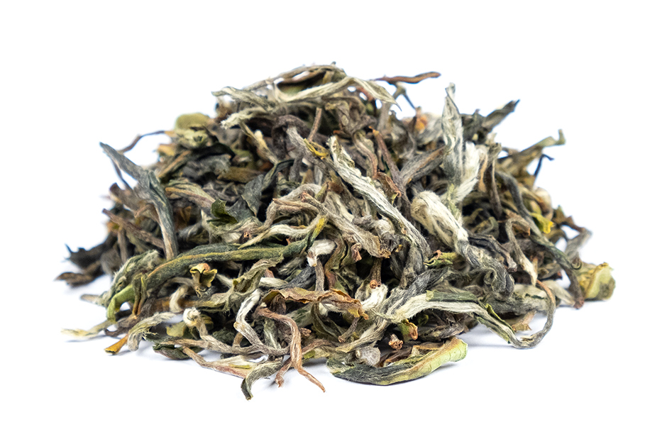 Nepal Kalapani White Lotus Autumnal Flush 2023