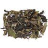 Yunnan Bai Lan Ye Sheng - Bílá Orchidej
