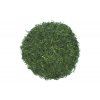 Sencha Saemidori Premium (bio)