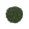 2023 Sencha Yabukita Kirishima Premium (bio)