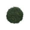Kabu Sencha Saemidori Premium (bio)
