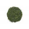 Sencha Yabukita Miyazaki