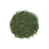 Sencha Ó Iwase