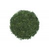 Sencha Kanayamidori