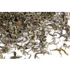 Nepal Pathivara White Forest SFTGFOP-1 Autumnal Flush