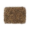 Nilgiri Chamraj Winter Golden Tips