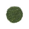 Sencha Saemidori Miyazaki