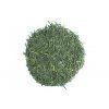 Gyokuro Matsu no Midori