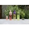 Hario láhev na čaj s filtrem Cold Brew Tea 750 ml