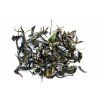 Bai Xue Long - Bílý sněžný drak