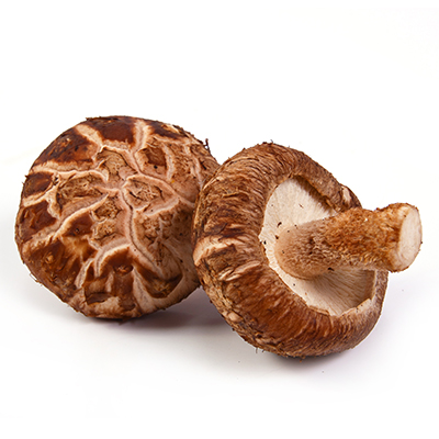 Shiitake - Houževnatec jedlý