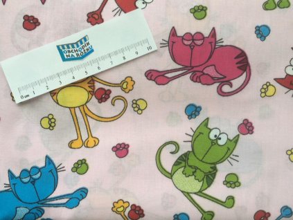 16807820 1440780252622001 2411155772897235626 n