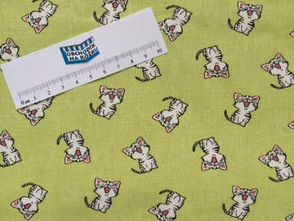 16998828 1447263761973650 7758207252528808785 n