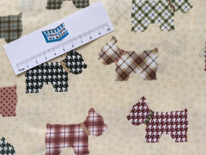 16999009 1447268805306479 251336111422370038 n