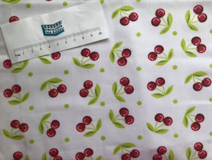 50730852 2270753039624714 5104760410175700992 n