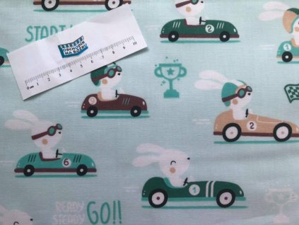 50086343 2270753656291319 4385911411721633792 n