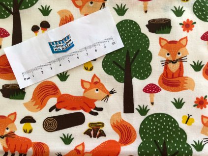 91647898 3108573225842687 663829002808459264 o