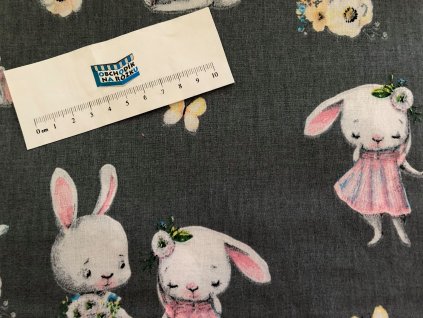 91543963 3108575075842502 3394751264679002112 o