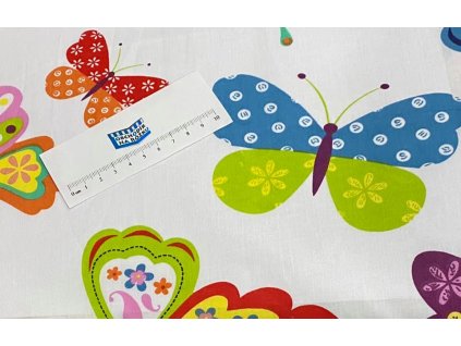 147261948 3974106115956056 4923431320357335575 n