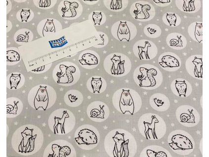 146630512 3974105982622736 5927930888761414683 n