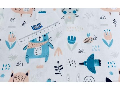 146067151 3974105722622762 1278668303721902118 n