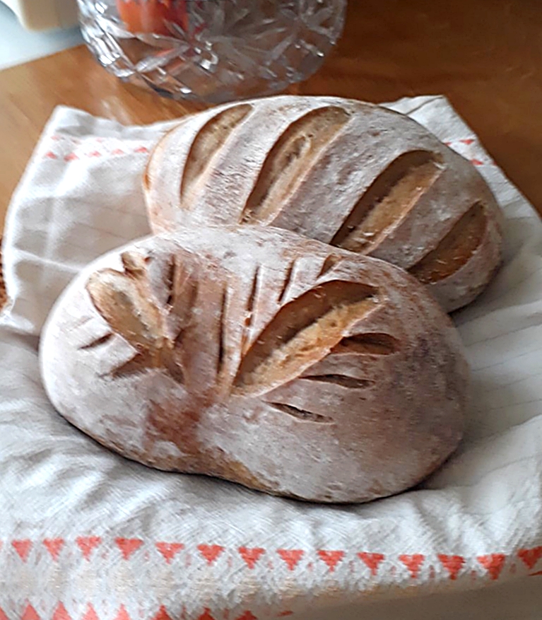 D. Hromadová - narezávatko s oblou čepeľou, chlebové korenie