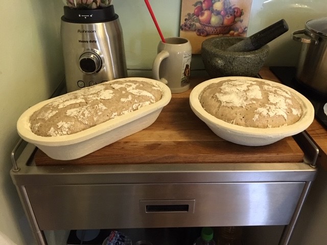 Igor Vaško - ošatky