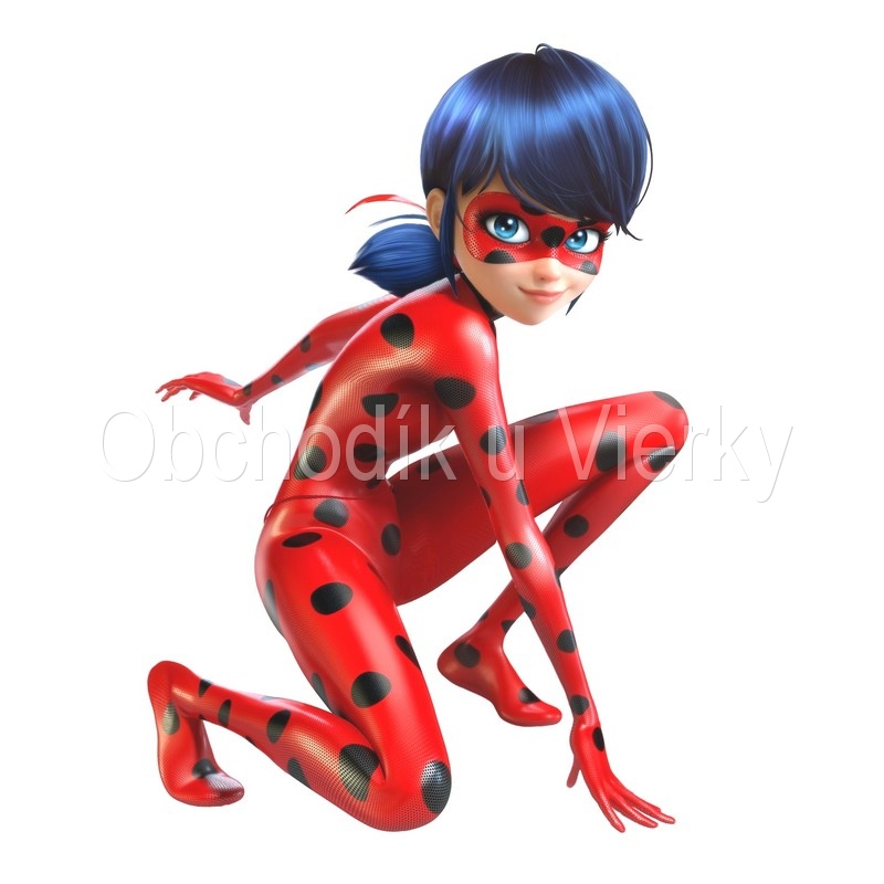 Beruška a čierny kocúr