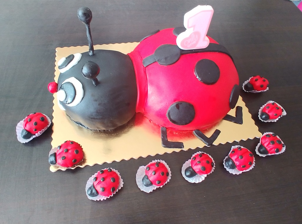 E. Moravčíková - v texte (poťahová hmota = Rainbow a K3)