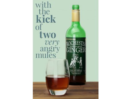 Rochester ginger 725 ml (zázvorový nealkoholický nápoj)