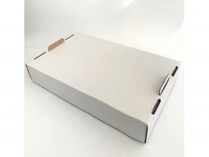 Krabica kartónová BIELA dvojdielna 45 x 30 x 8 cm