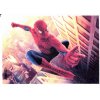 Spiderman jedlý obrázok v akcii