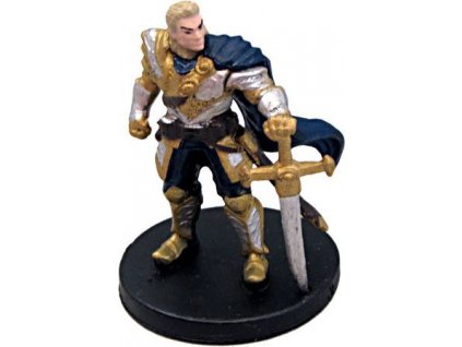 Human Paladin #8 D&D Icons of the Realms