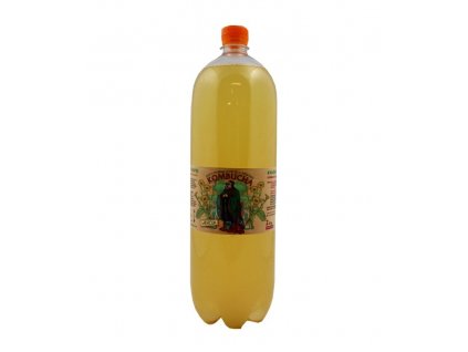 kombucha 2l mesicek stev