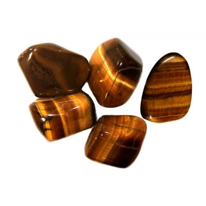 1873 tygri oko tromlovane