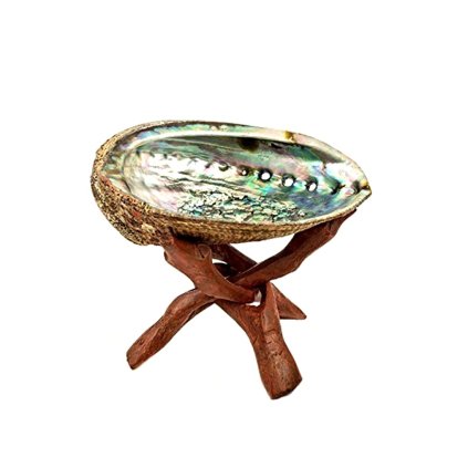 ABALONE střední vykuřovací mušle na stojánku