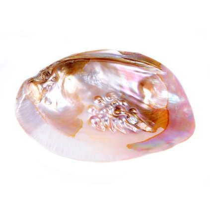 1915 perlorodka velka lestena vykurovaci musle