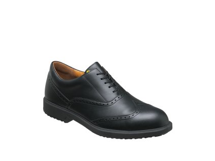 20175 officer 30 s1sr