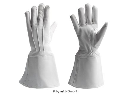 508436 Flag Bearer white