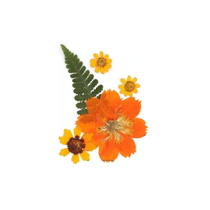 Sušené květiny SADA S-06 arch 115x80mm