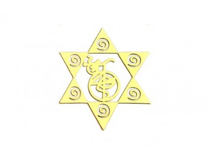 Symbol na orgonity ORG 1210-51 30mm 1ks