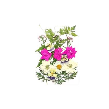 Sušené květiny SADA HAR-382 arch 105x150mm